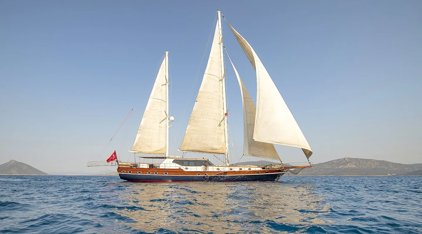 DRAGON FLY Sailing