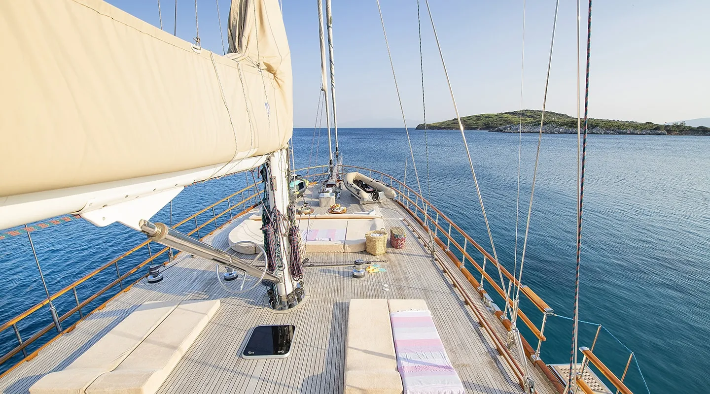 DRAGON FLY Sun deck