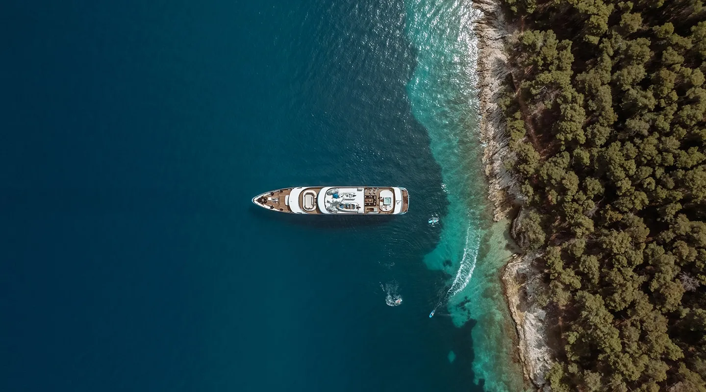 FREEDOM Aerial view