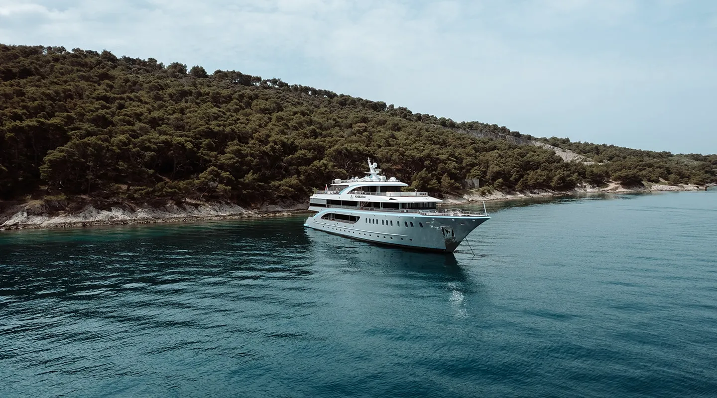 FREEDOM Anchored