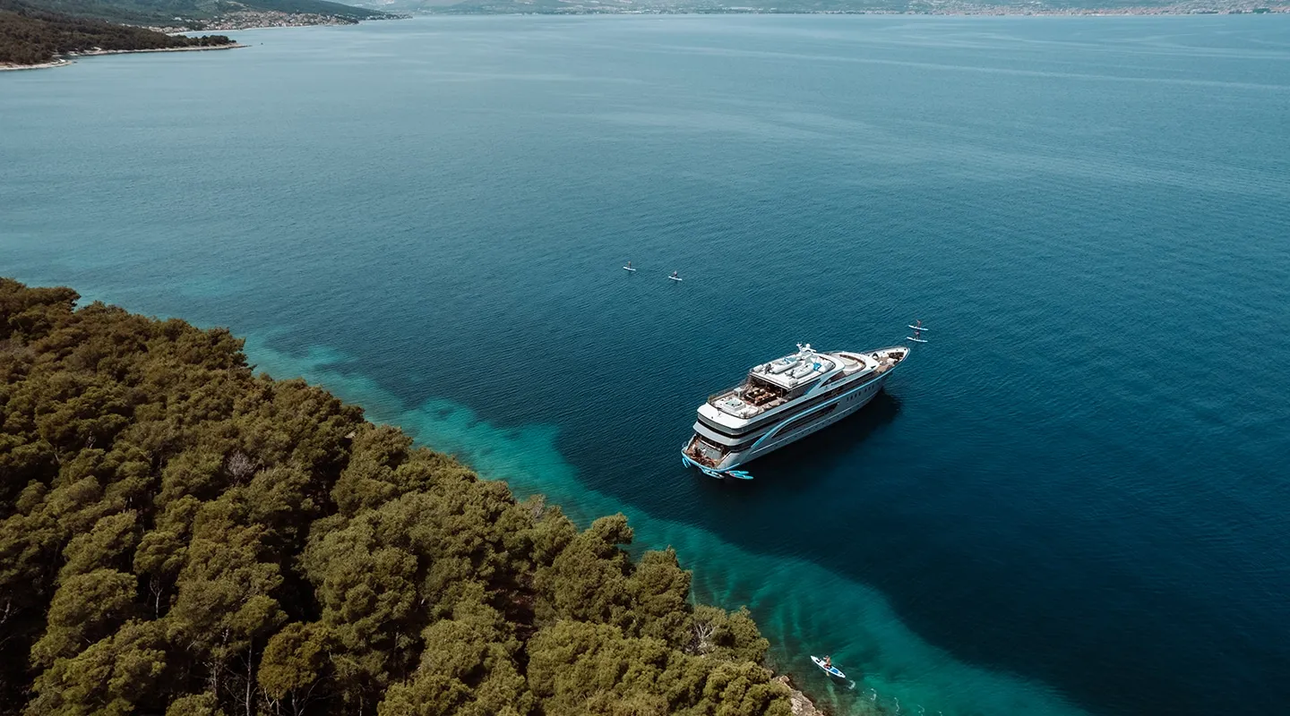 FREEDOM Anchored