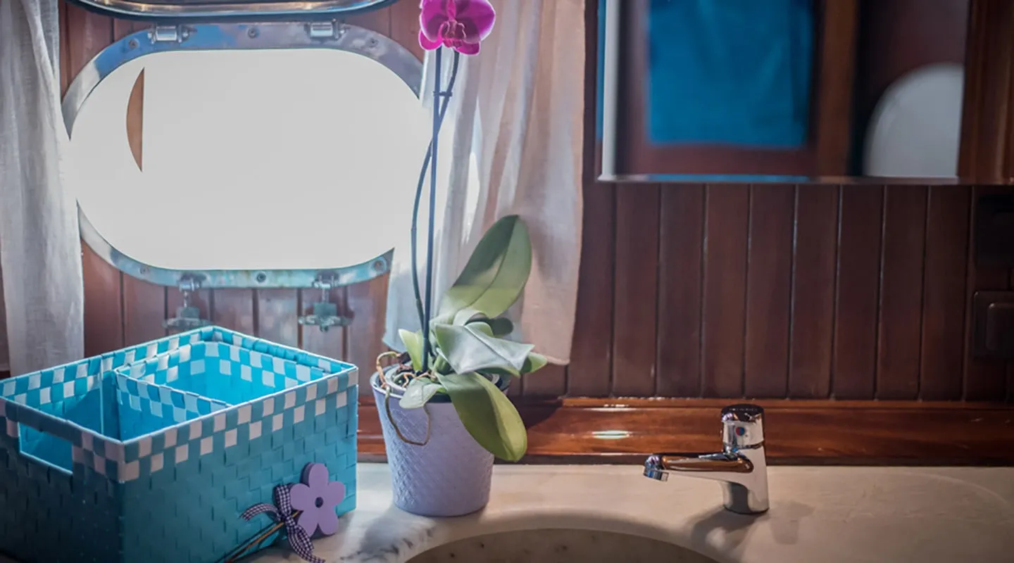 GELIDONYA II Bathroom