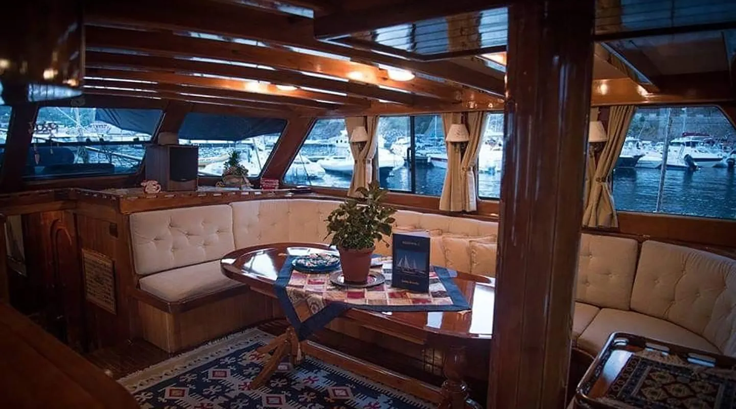 GELIDONYA II Saloon