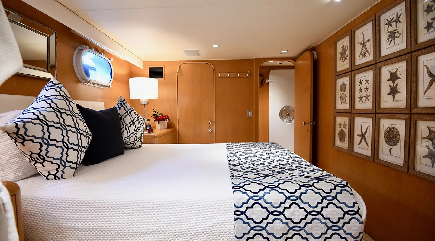 IMPULSE Double cabin