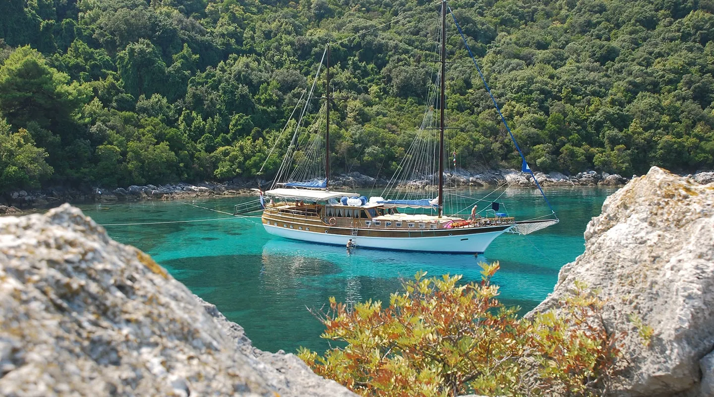 LINDA Anchored