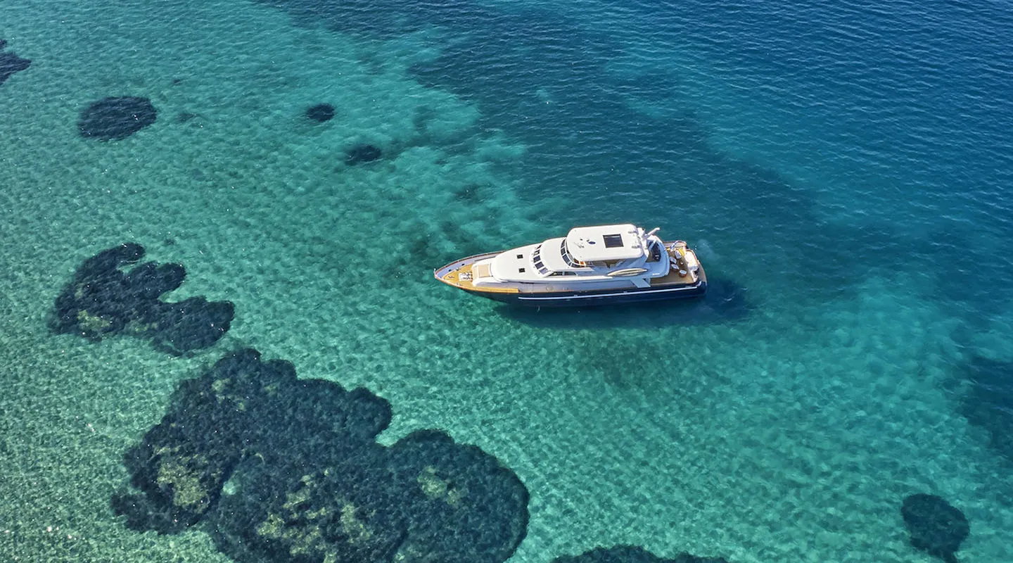 MIA ZOI Anchored