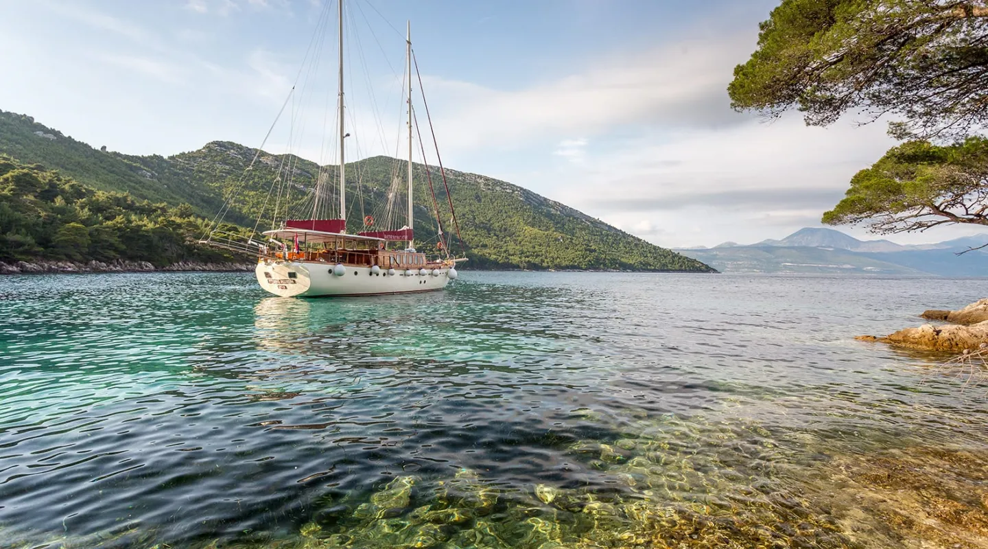 MORNING STAR Anchored