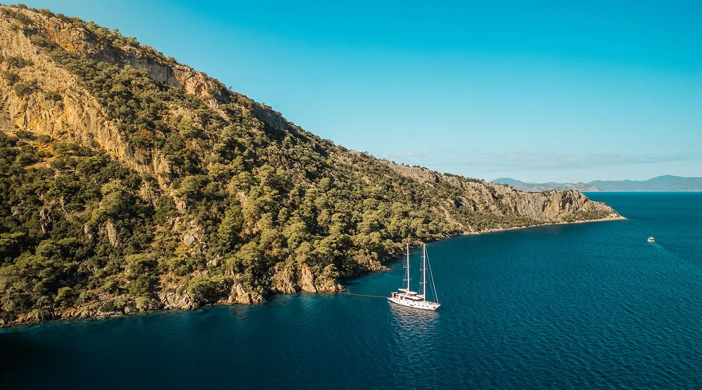 ANGELO III Anchored
