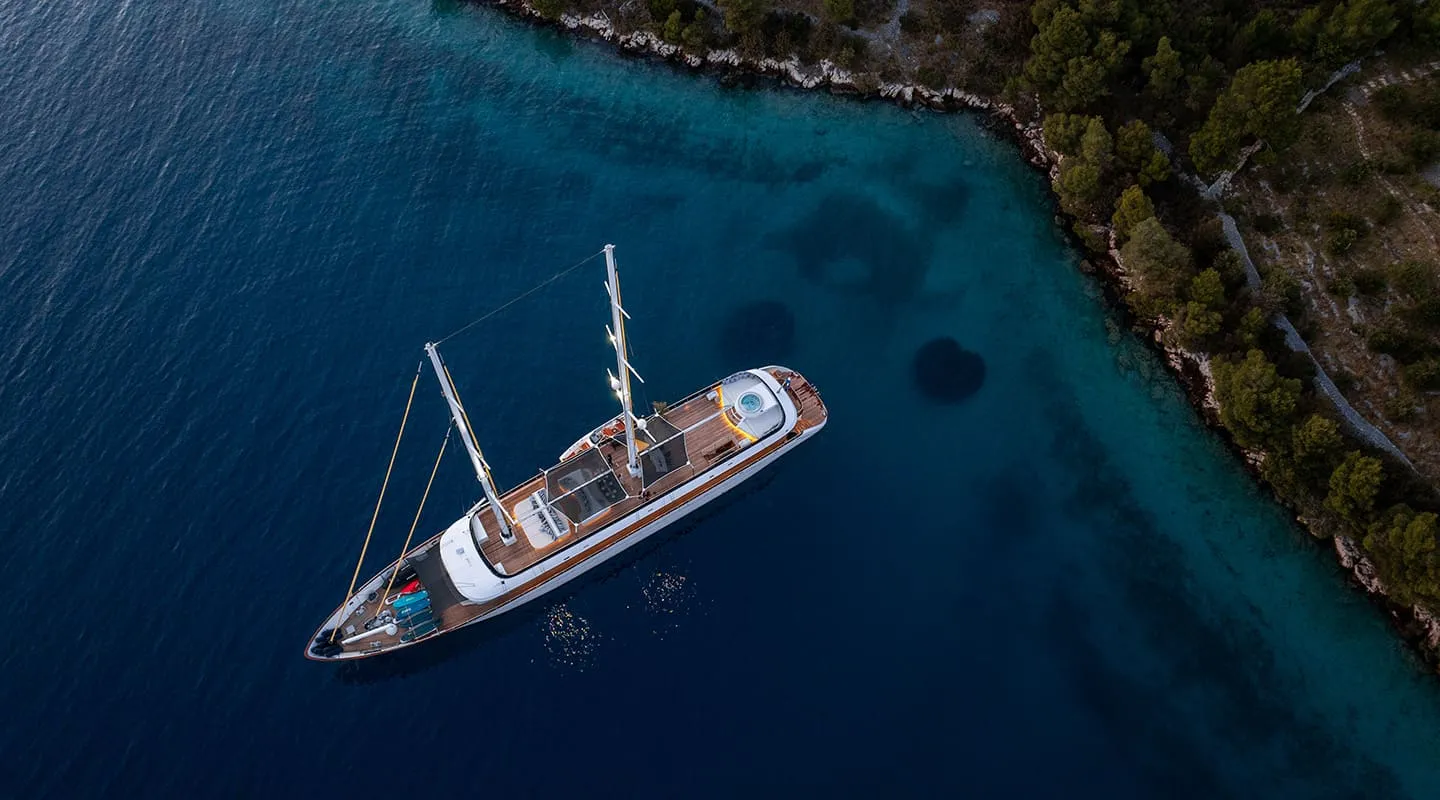 ANIMA MARIS Anchored