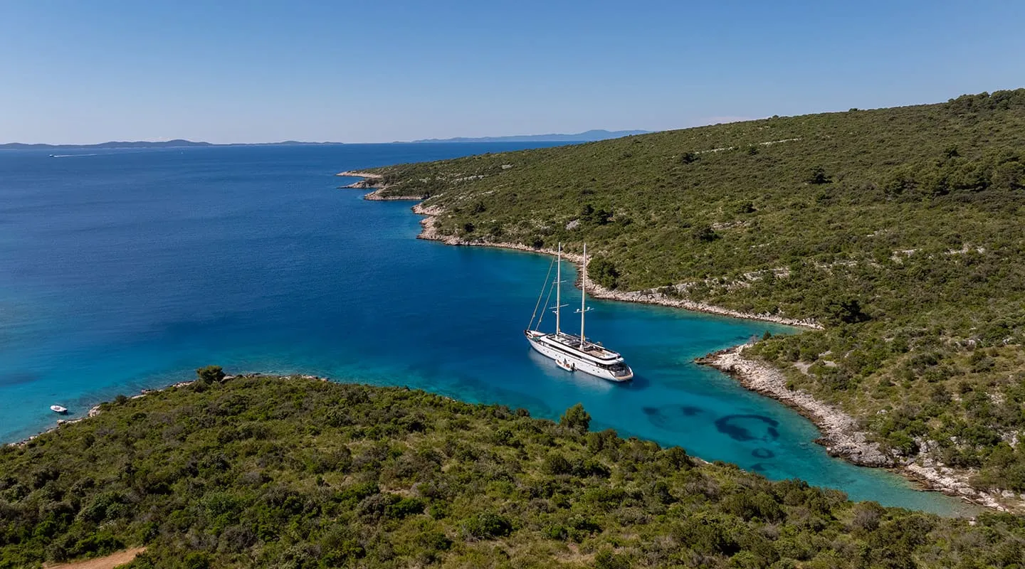 ANIMA MARIS Anchored