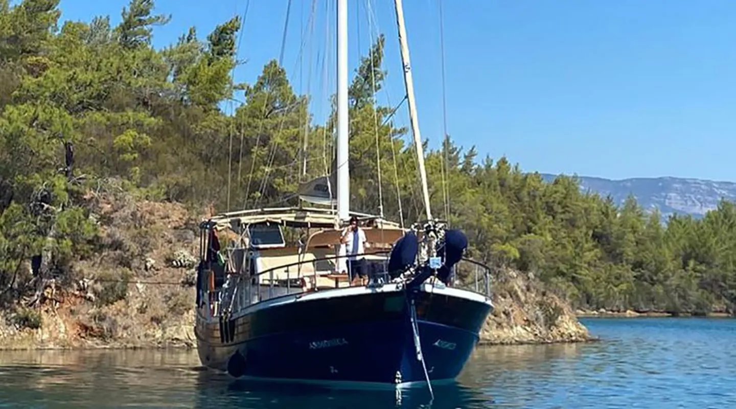 ARMONICA Anchored