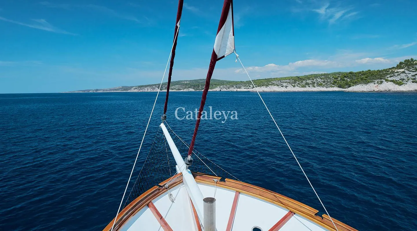CATALEYA Bow deck