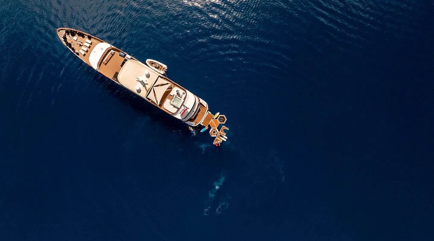 CRISTAL Anchored