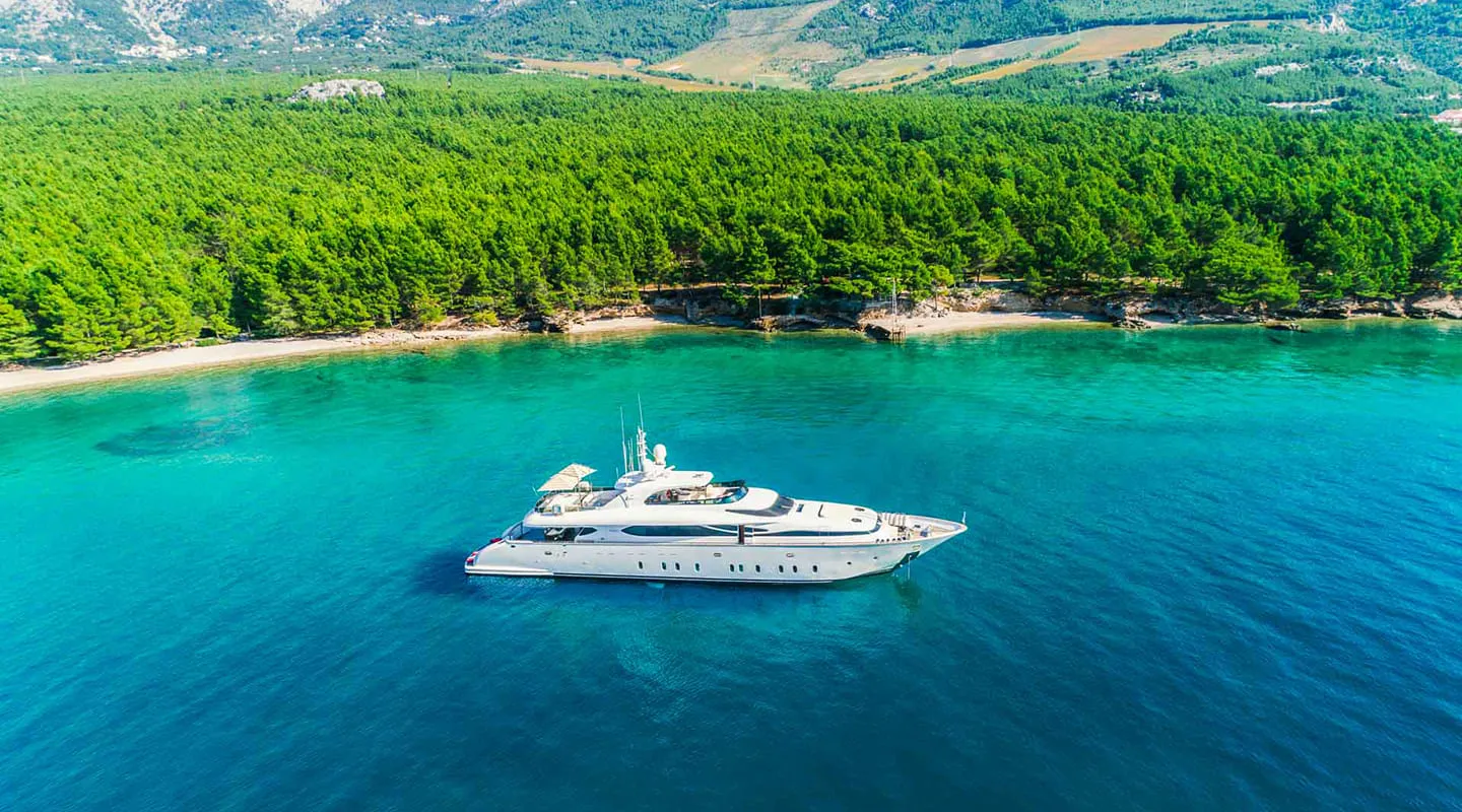 CYNTHIA Anchored