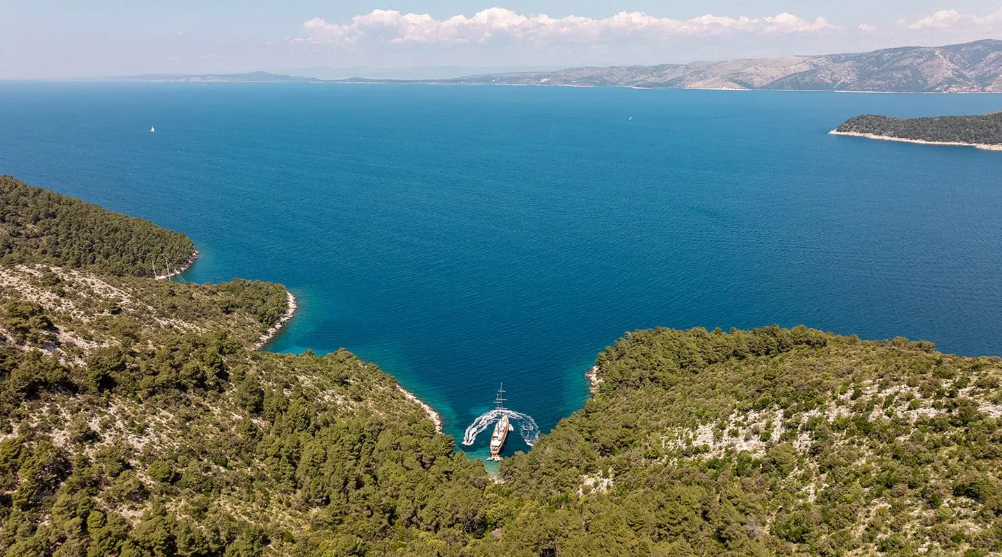 DALMATINO Anchored