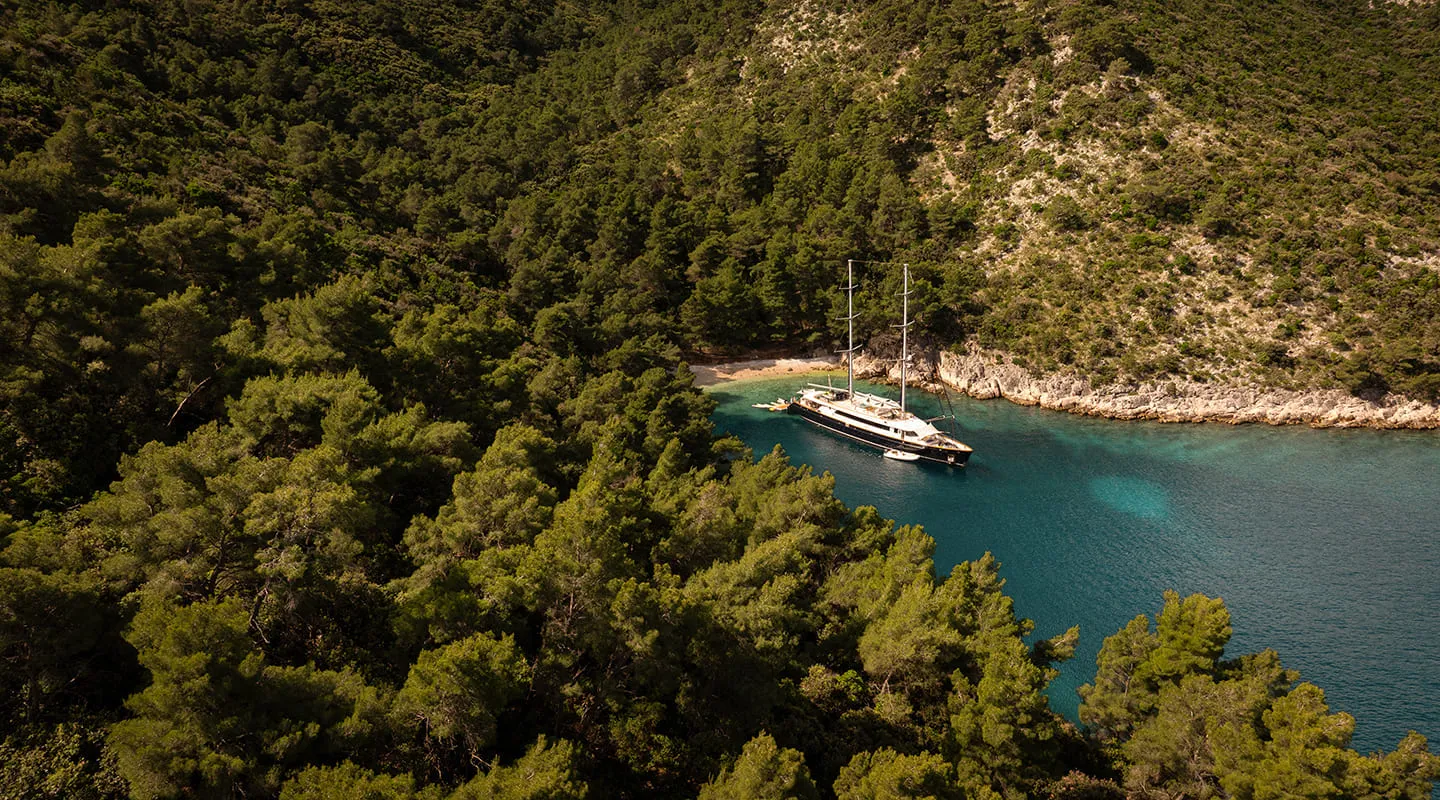 DALMATINO Anchored