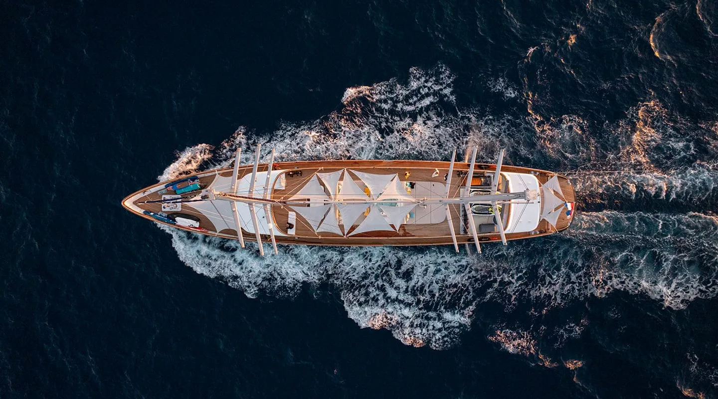DALMATINO Cruising