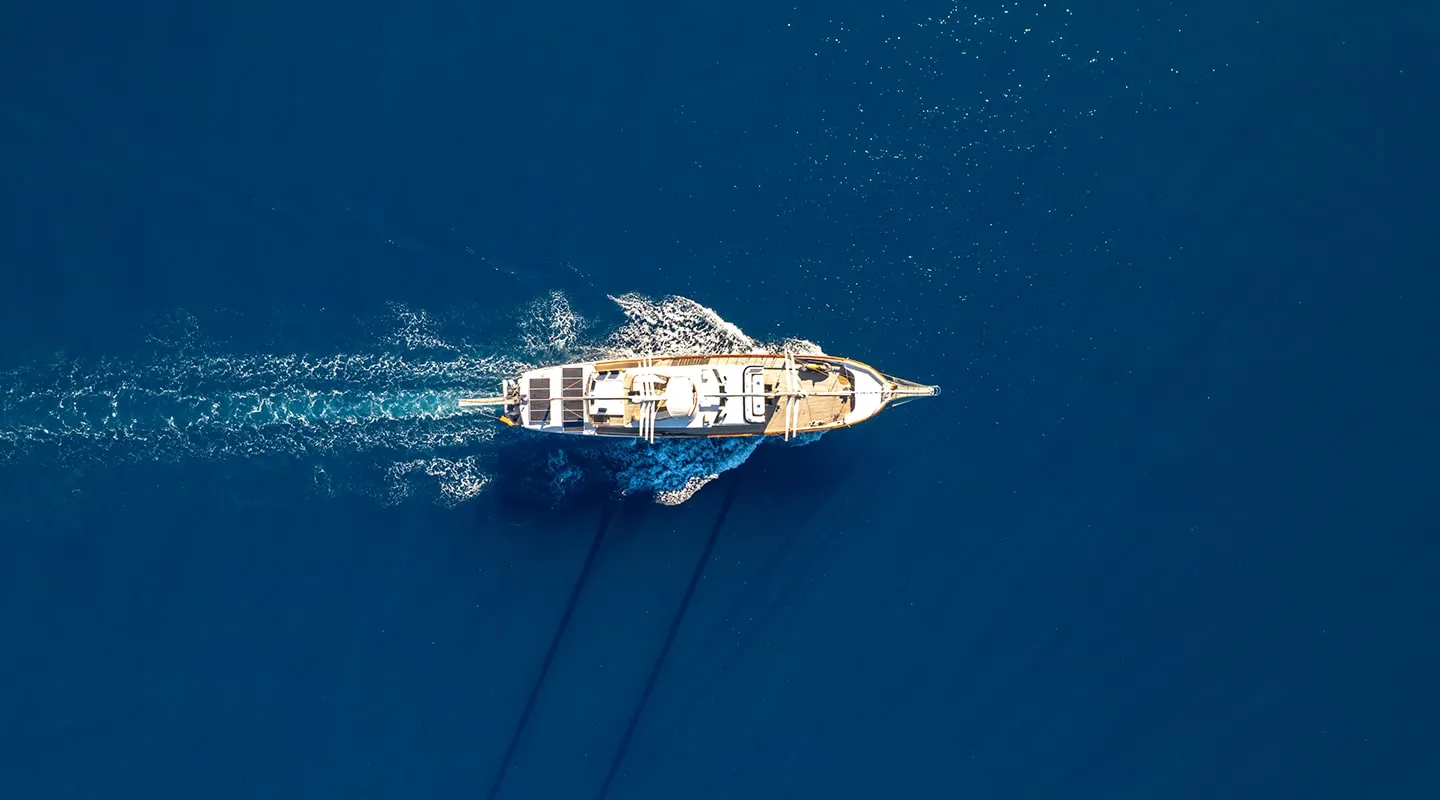 DOUBLE EAGLE Aerial view