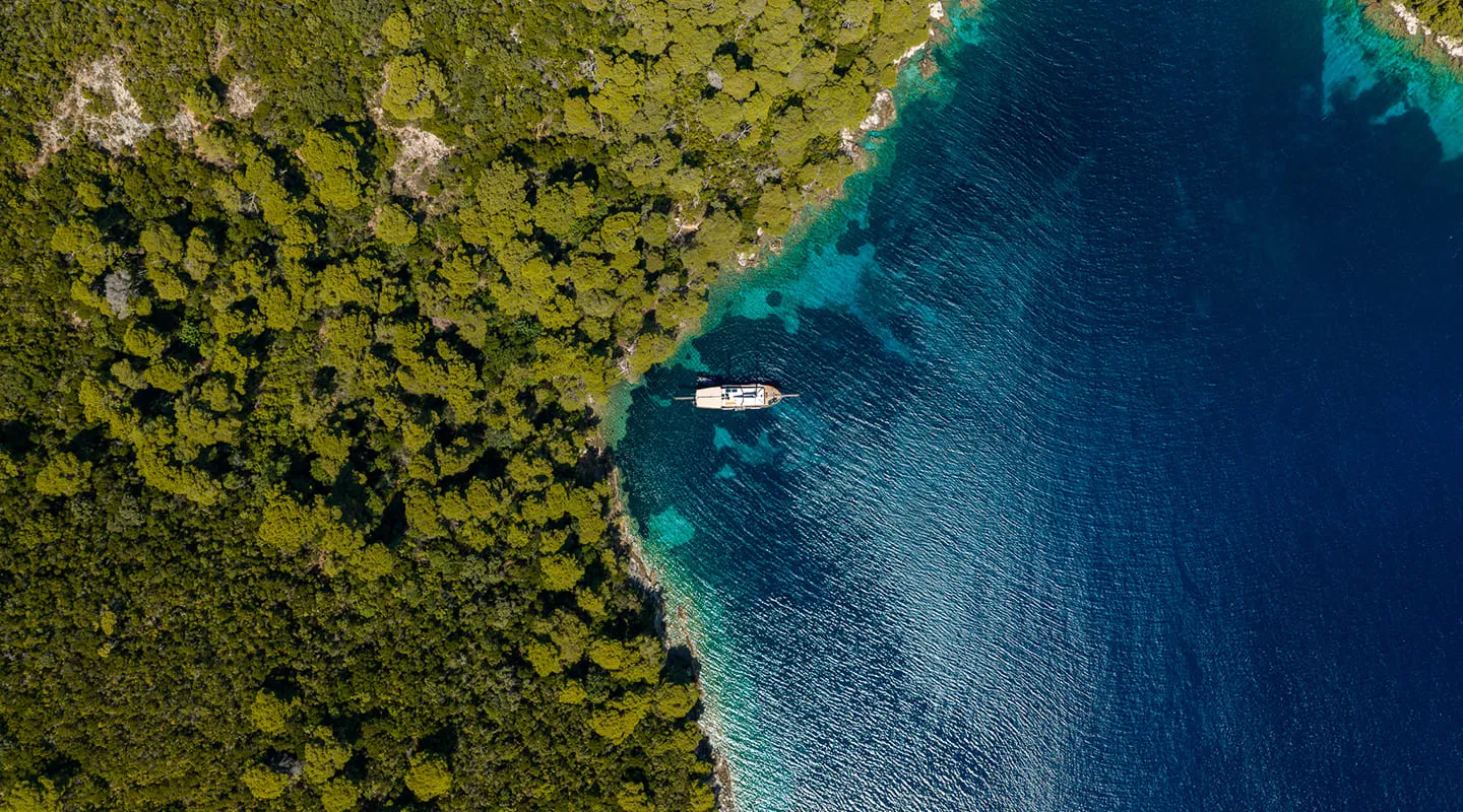 ELEGANZA Aerial