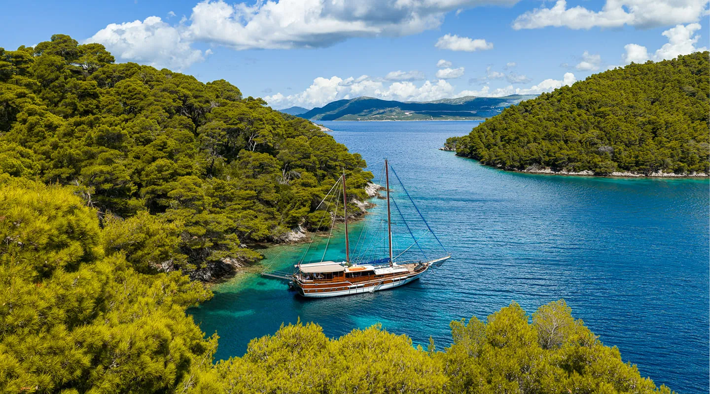 ELEGANZA Anchored