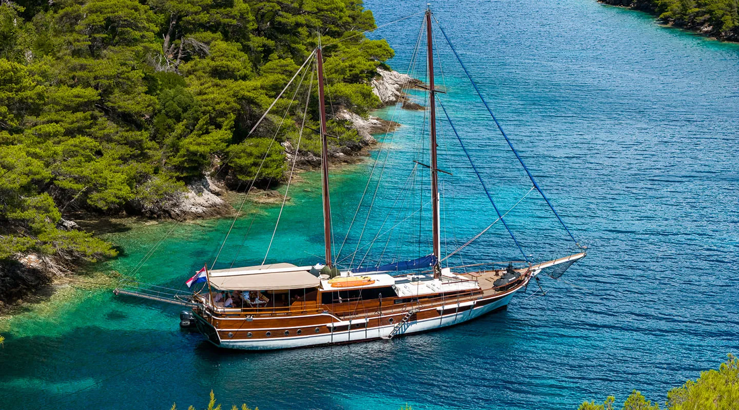 ELEGANZA Anchored