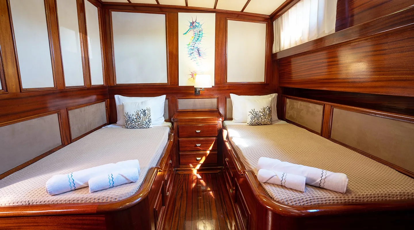 ELIANORA Twin cabin