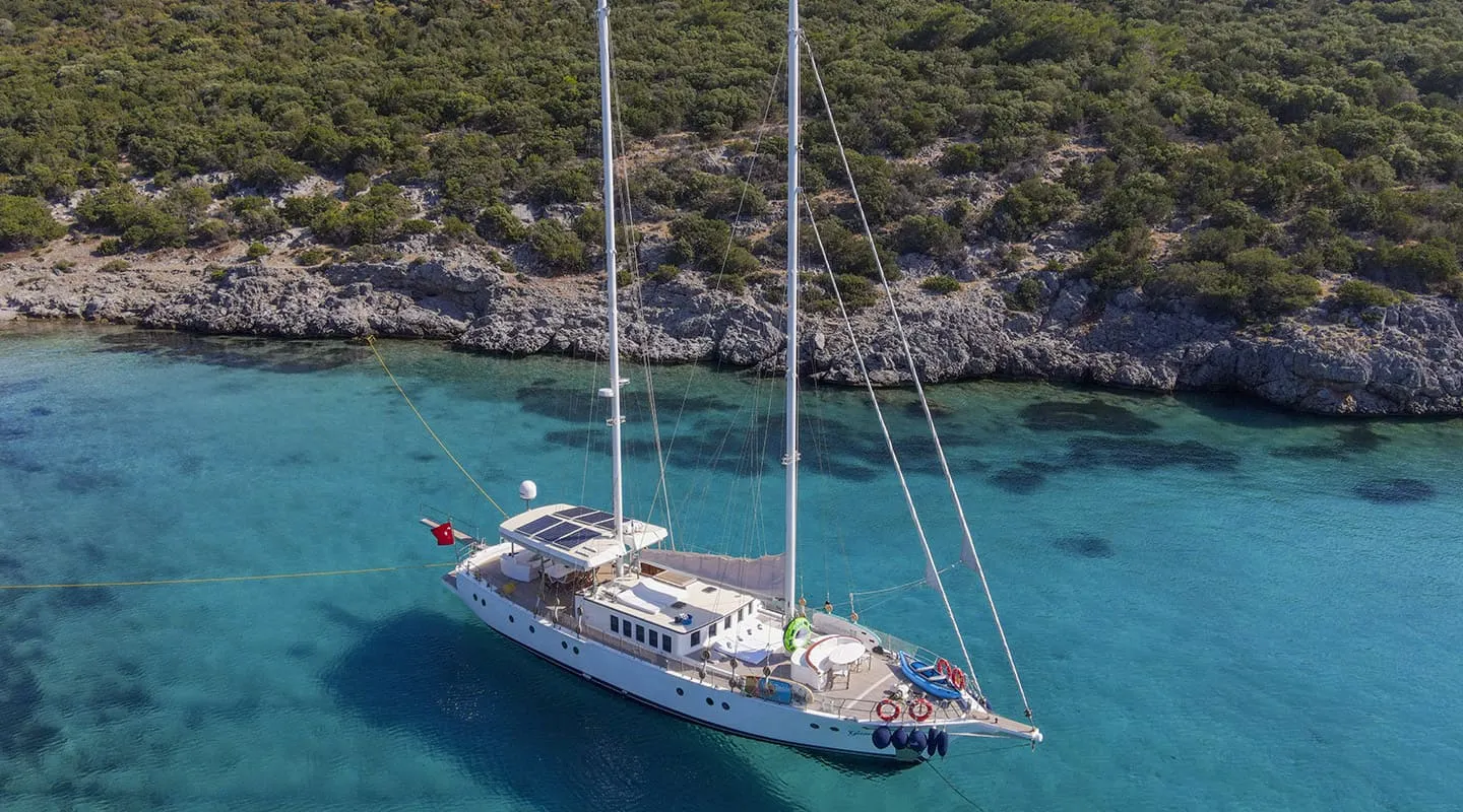 GAZELLA Anchored