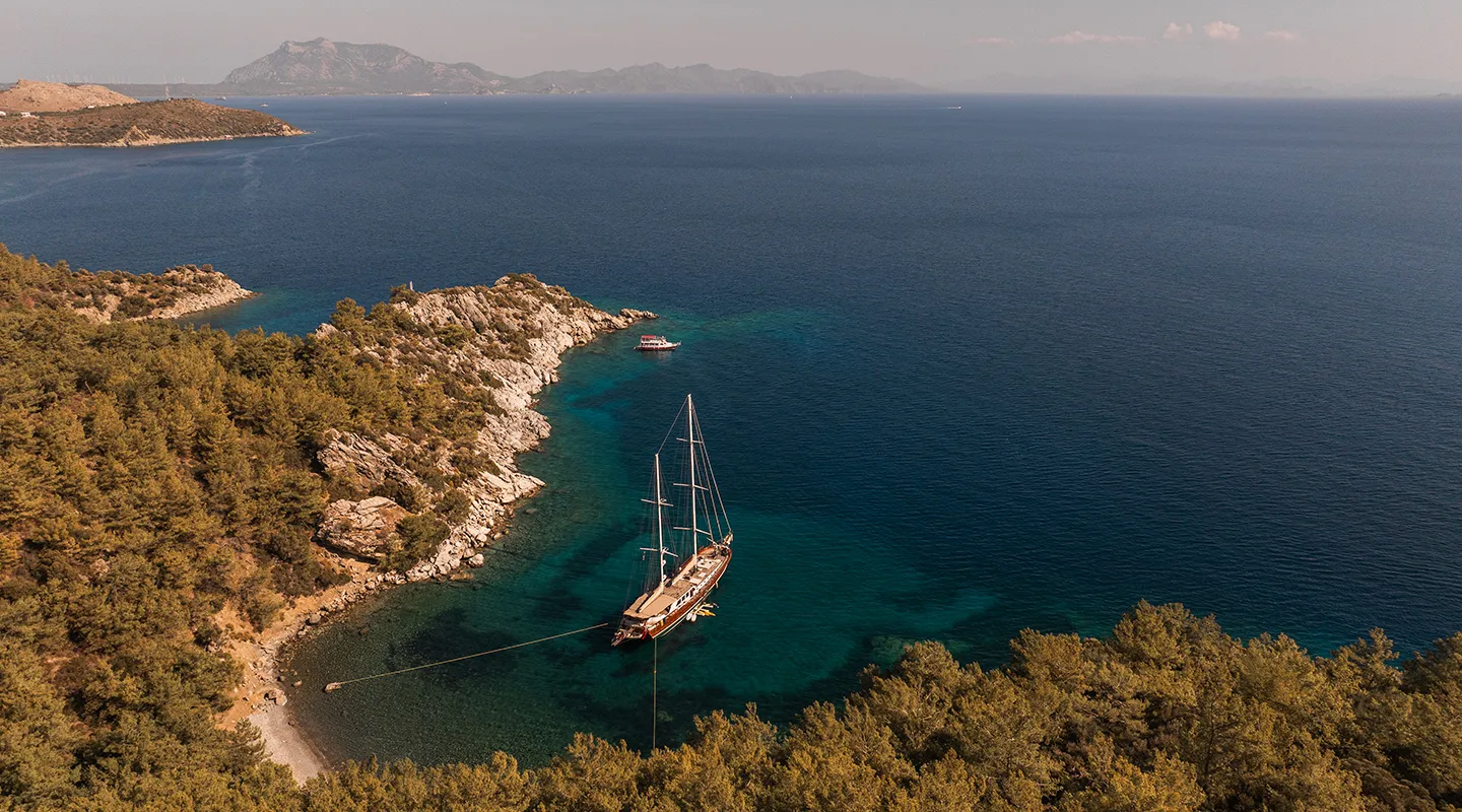 LA BELLA VITA Anchored