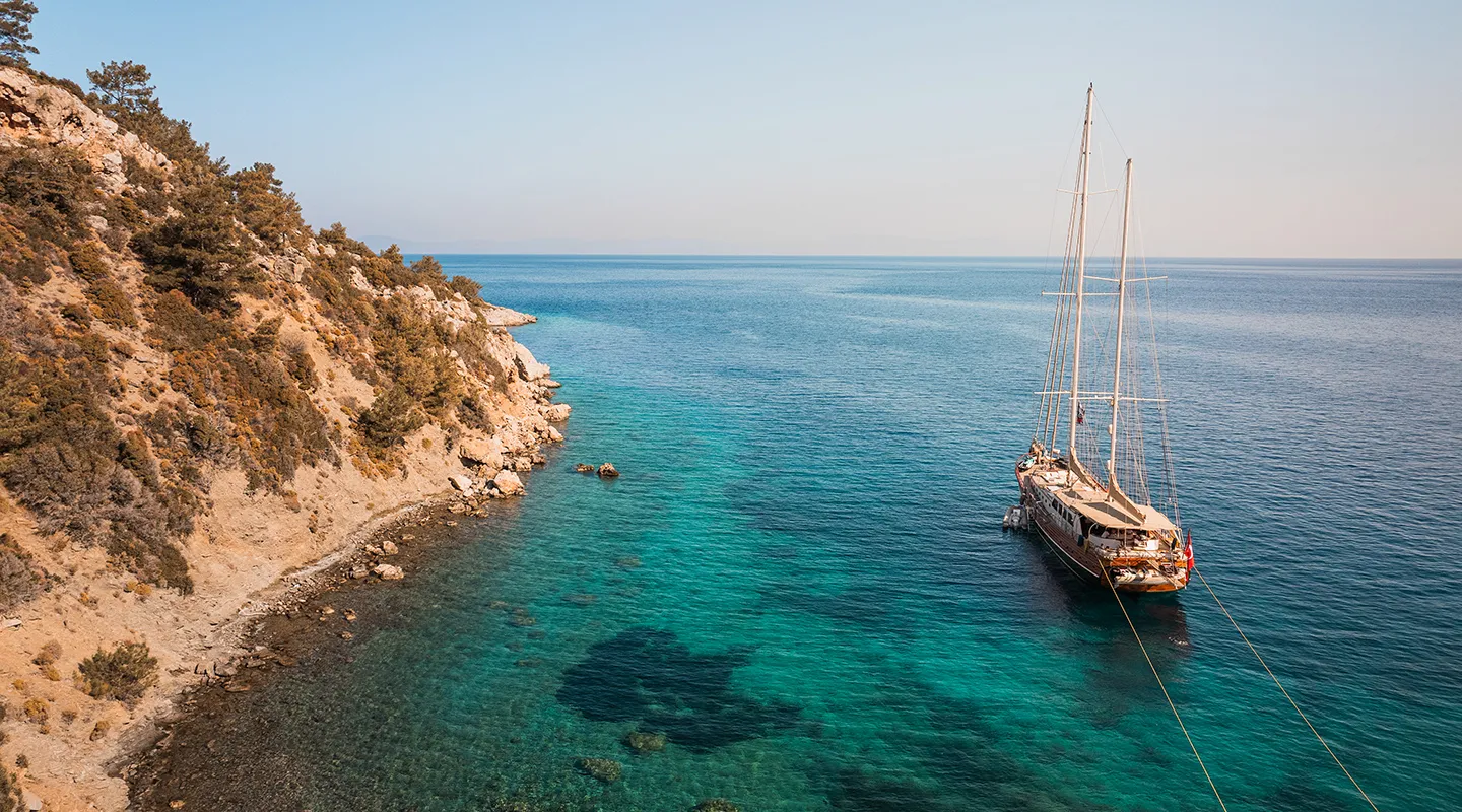LA BELLA VITA Anchored