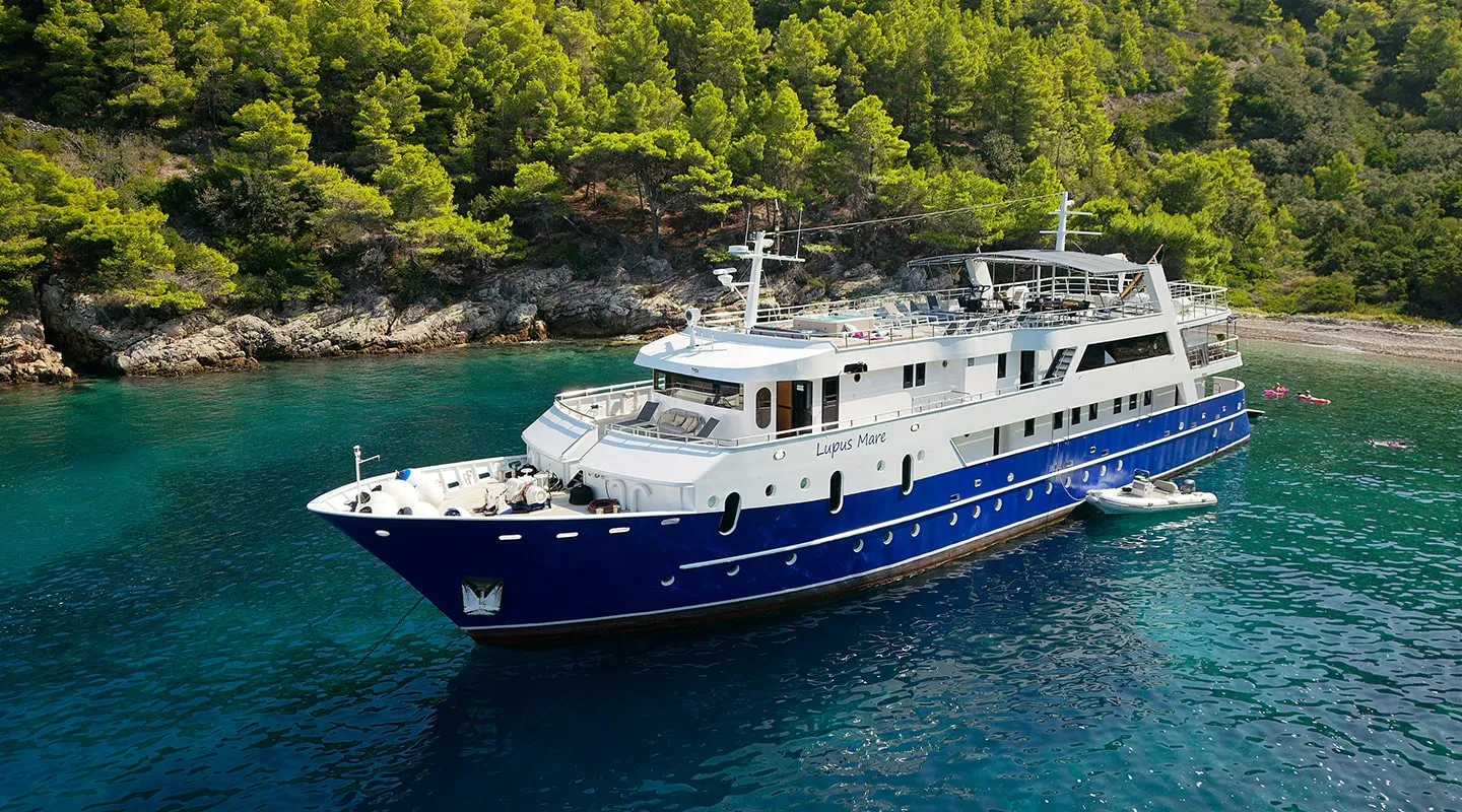 LUPUS MARE Anchored