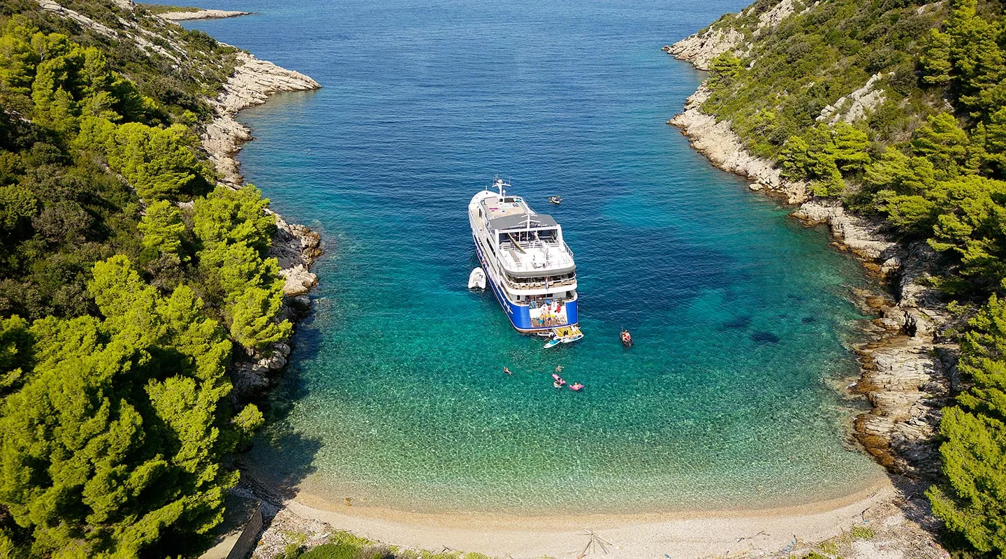 LUPUS MARE Anchored