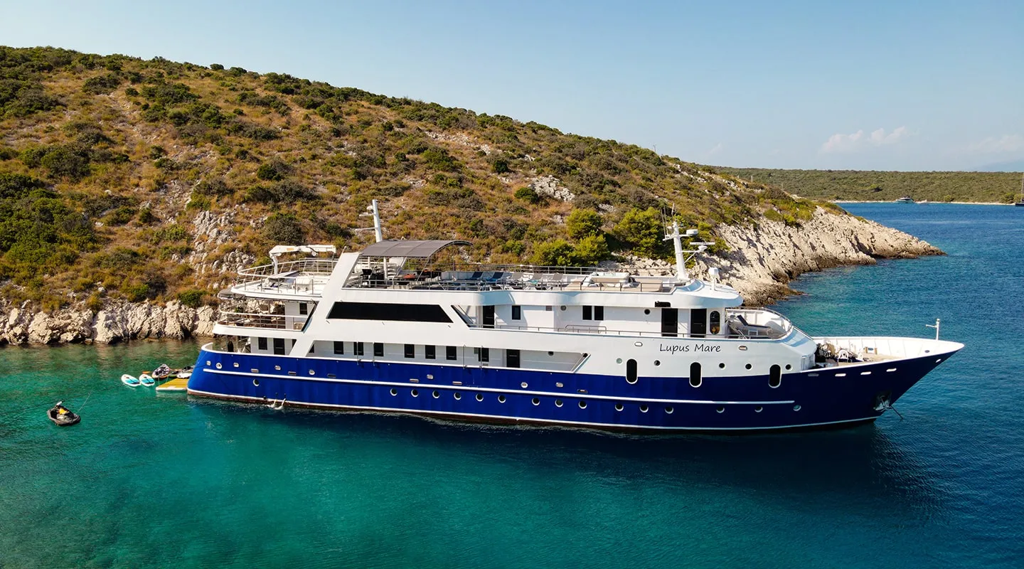 LUPUS MARE Anchored