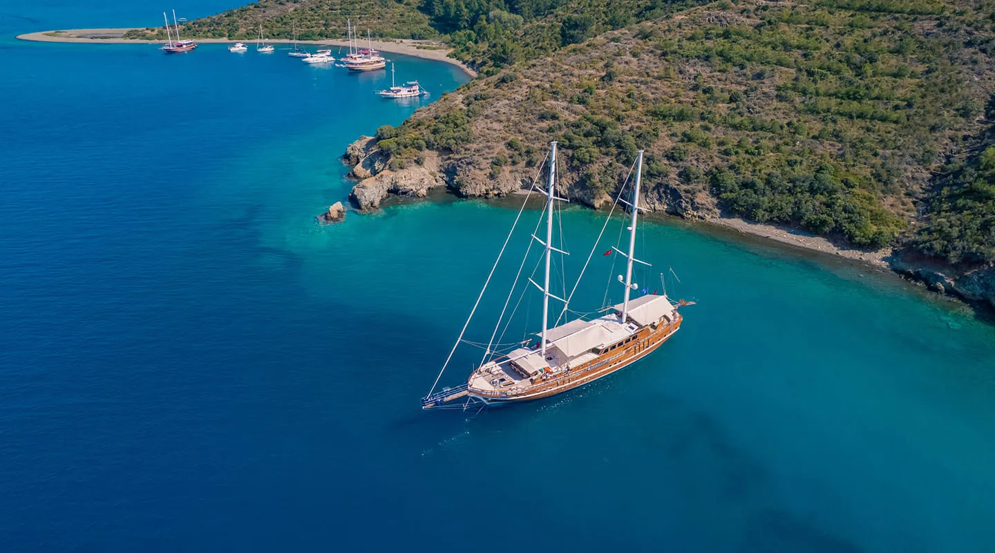 LYCIAN QUEEN Anchored
