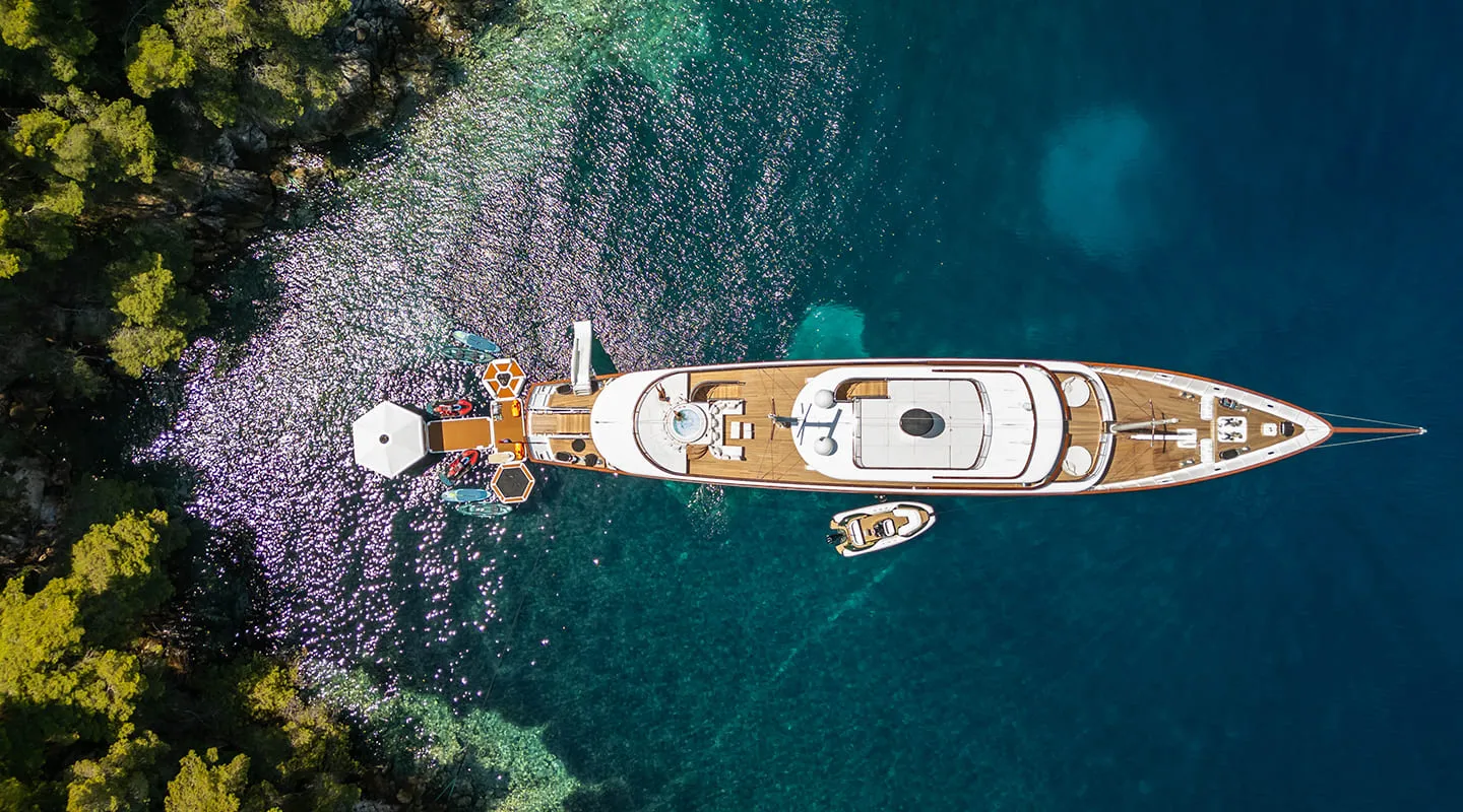 MAIA Aerial view