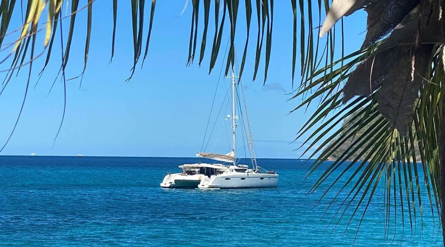 MOBY DICK Anchored