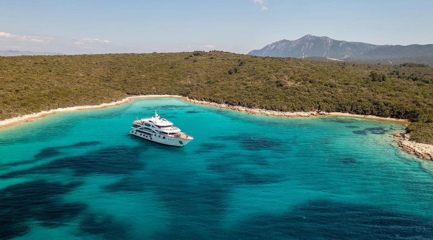 OLIMP Anchored
