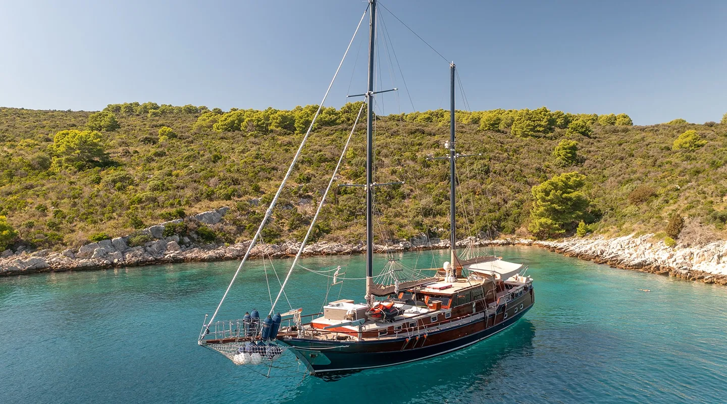 PACHA Anchored