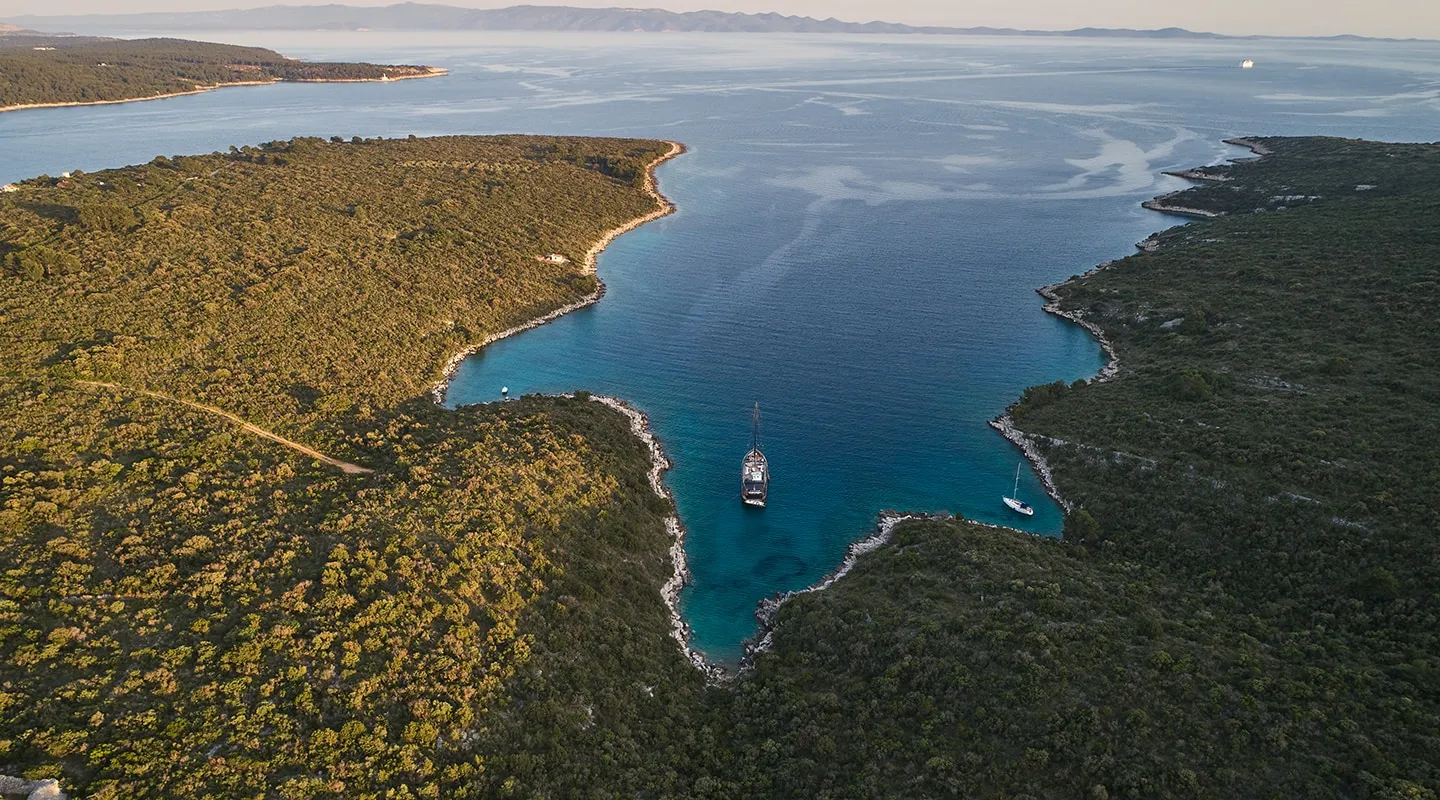 RARA AVIS Aerial view