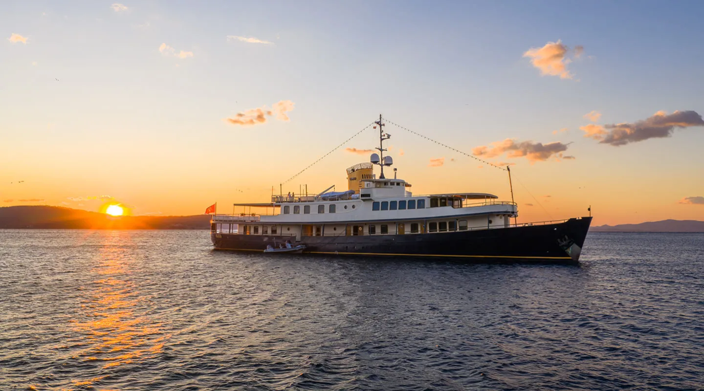 SEAGULL II Sunset