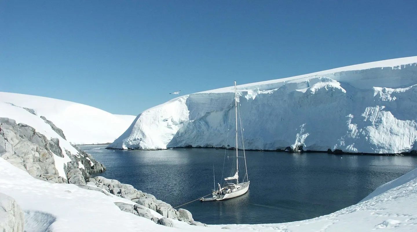 TANANA Anchored