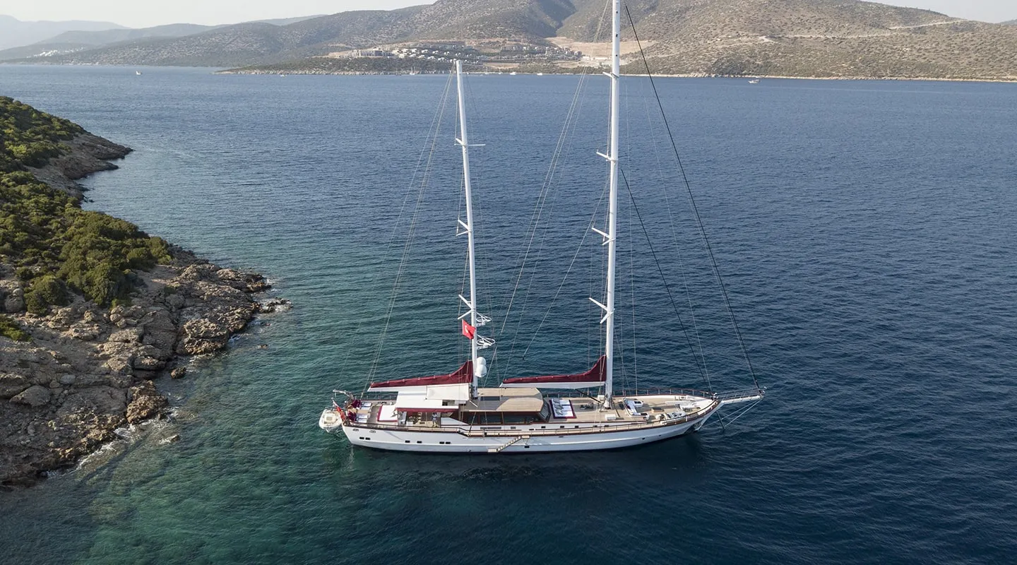 THAT'S AMORE Anchored