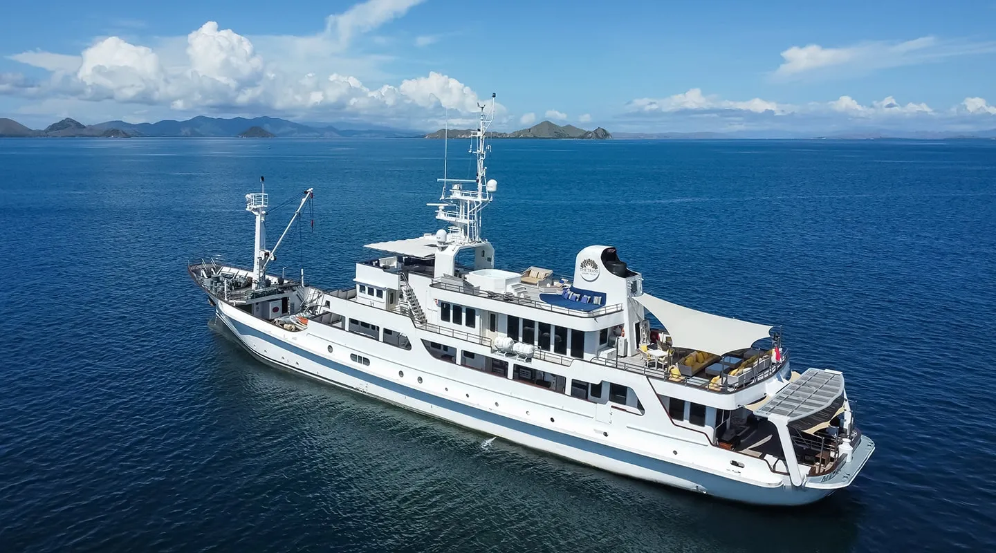 THE TRANS LUXURY YACHT Anchored