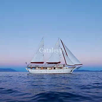 CATALEYA Sailing