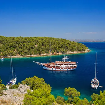 CESARICA Anchored