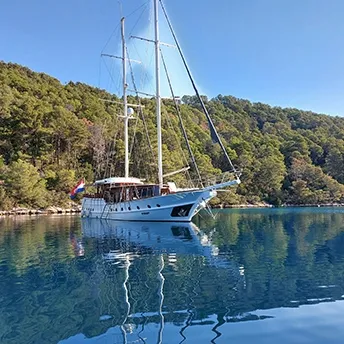 VIVERE Anchored