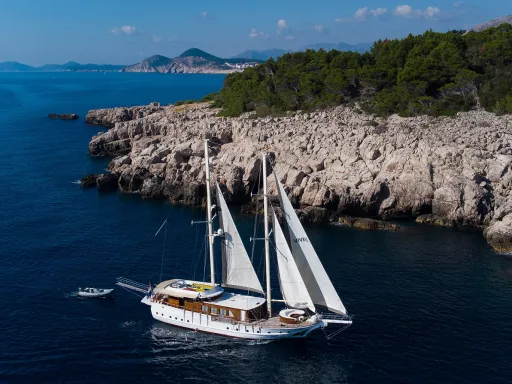 VIVERE Sailing