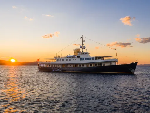 SEAGULL II Sunset