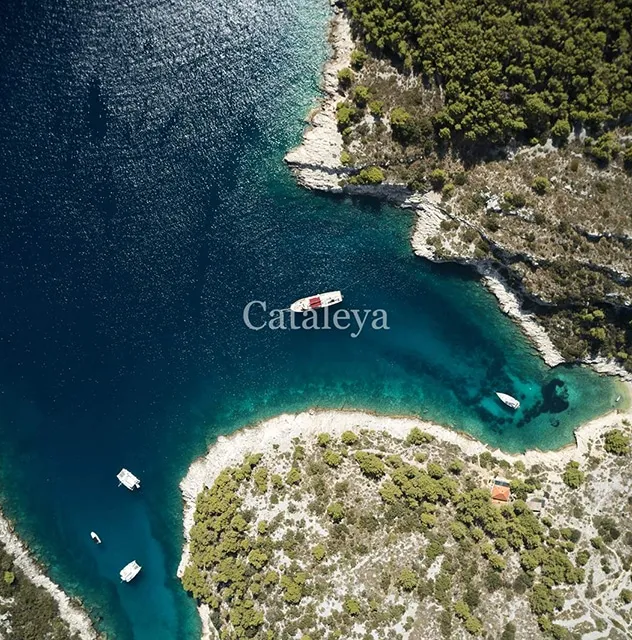 CATALEYA Aerial view
