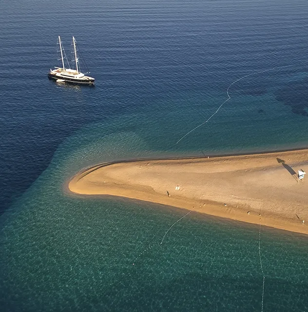 DALMATINO Anchored