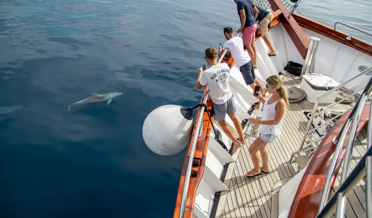 11 Best Island-hopping Experiences in Croatia